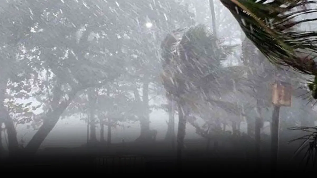 สภาพอากาศวันนี้ ทั่วทุกภาคมีฝนตกหนักต่อเนื่อง กทม.ส่วนมากช่วงบ่าย-ค่ำ