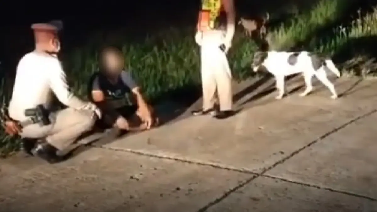 จับ “หนุ่ม” ชำเราสุนัขเพศเมียในห้องน้ำ อ้างถูกแฟนยั่วแต่ไม่มีอะไรด้วย จับ “หนุ่ม” ชำเราสุนัขเพศเมียในห้องน้ำ อ้างถูกแฟนยั่วแต่ไม่มีอะไรด้วย