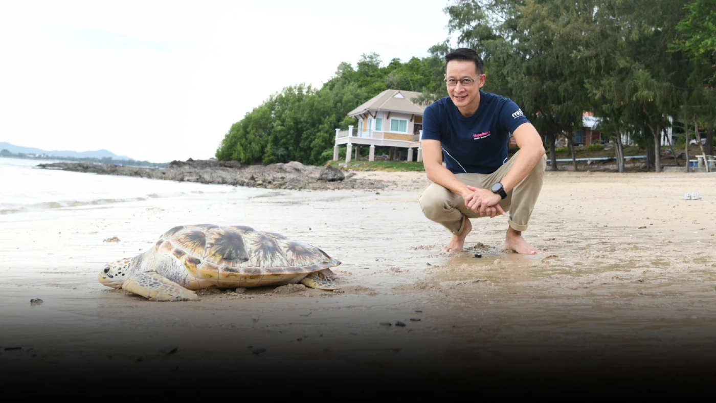 เมืองไทยประกันชีวิต เดินหน้าอนุรักษ์สิ่งแวดล้อมอย่างยั่งยืน สนับสนุนกิจกรรม “อนุรักษ์พันธุ์เต่าทะเล”