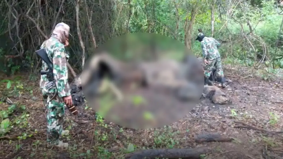 สลด “ช้างป่า” นอนตายในเขตรักษาพันธุ์สัตว์ป่าสลักพระ มีร่องรอยการถูกตัดงา สลด “ช้างป่า” นอนตายในเขตรักษาพันธุ์สัตว์ป่าสลักพระ มีร่องรอยการถูกตัดงา
