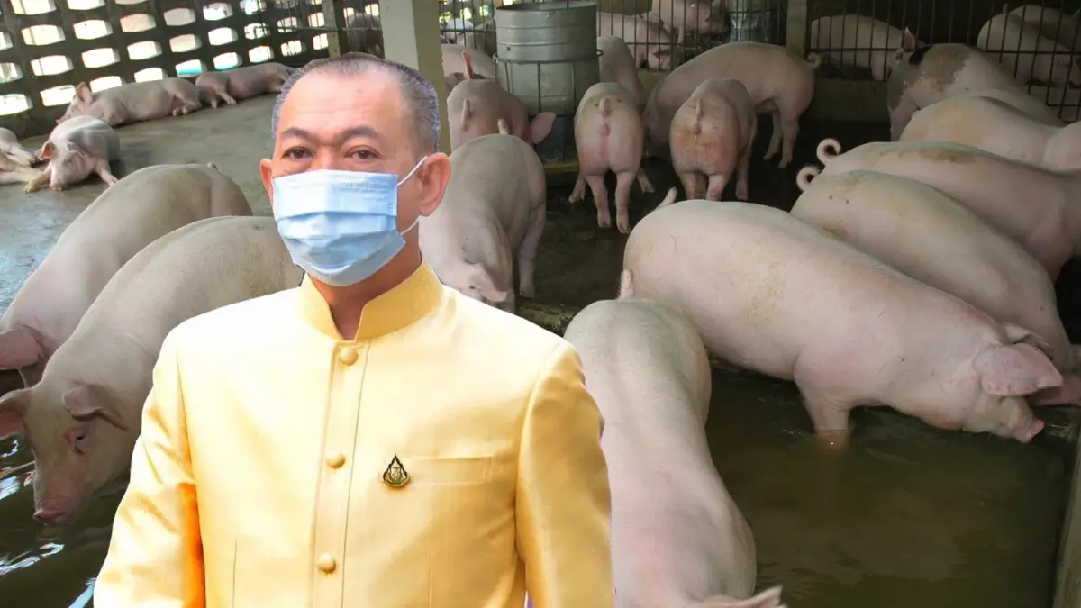 เล็งครม.อนุมติอีก 500 ล้านบาท เร่งเยียวยาโรคระบาดสุกร
