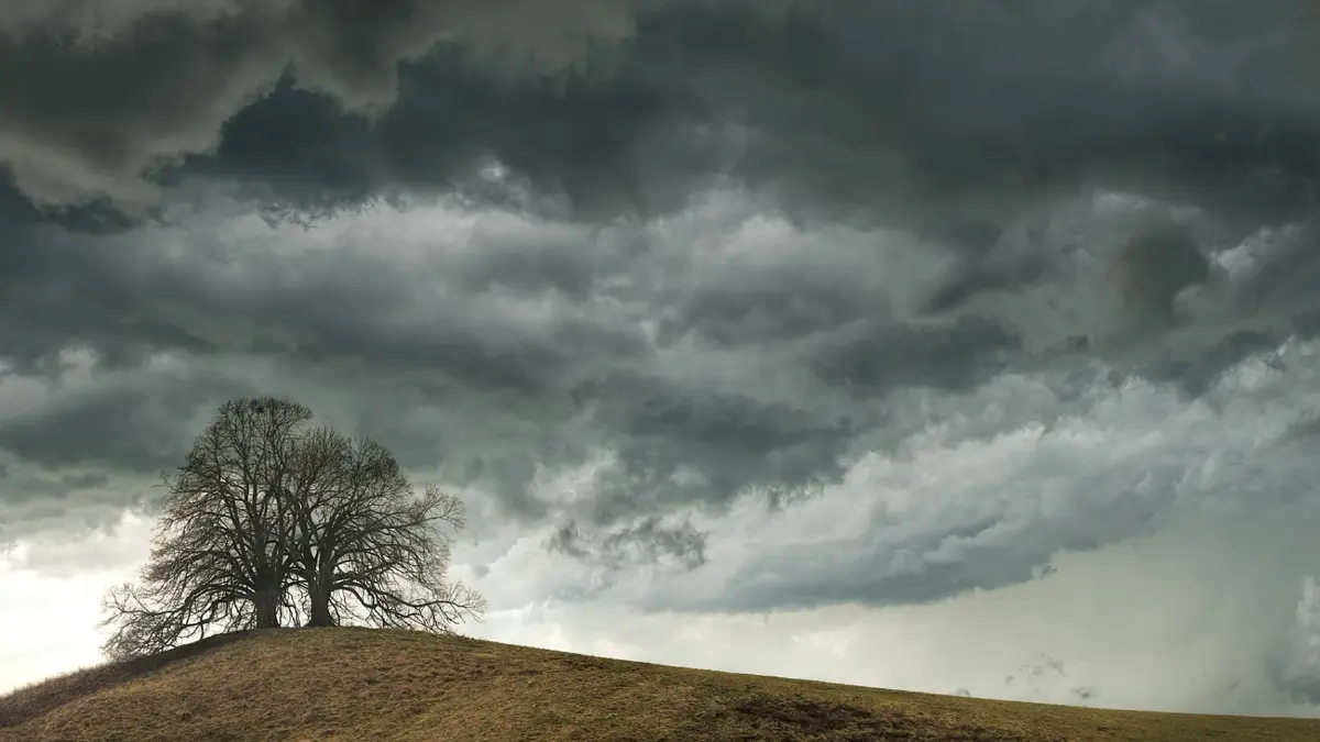 เช็กสภาพอากาศ 7 วันข้างหน้า ภาคไหนฝนยังตก กทม.จะซ้ำรอยอาทิตย์ที่แล้วหรือไม่? เช็กสภาพอากาศ 7 วันข้างหน้า ภาคไหนฝนยังตก กทม.จะซ้ำรอยอาทิตย์ที่แล้วหรือไม่?