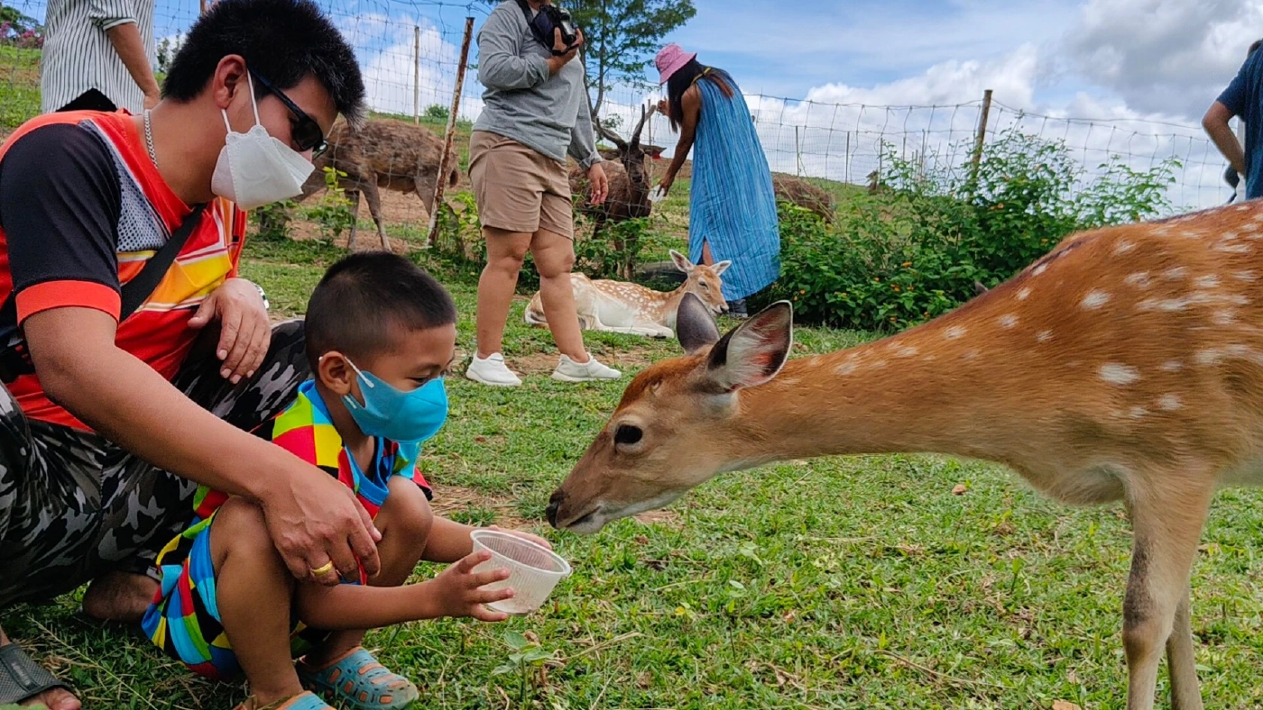 หลังคลายล็อกโควิด-19 การท่องเที่ยวพิษณุโลกกลับมาคึกคัก ช่วงหยุดยาว 5 วัน