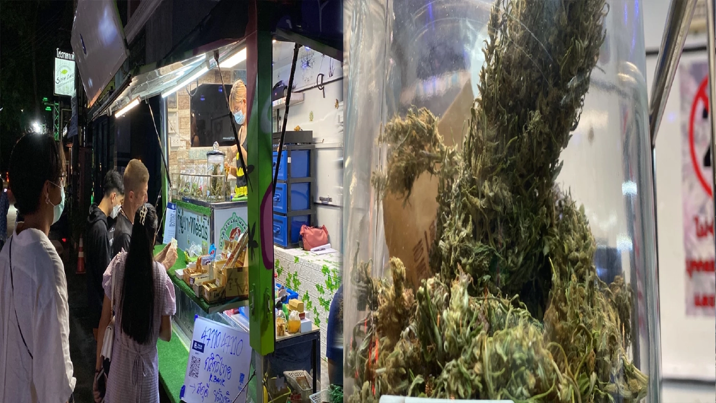 เปิดรถขายกัญชา Weed Truck โกยรายได้หลักหมื่นบาท เปิดรถขายกัญชา Weed Truck โกยรายได้หลักหมื่นบาท