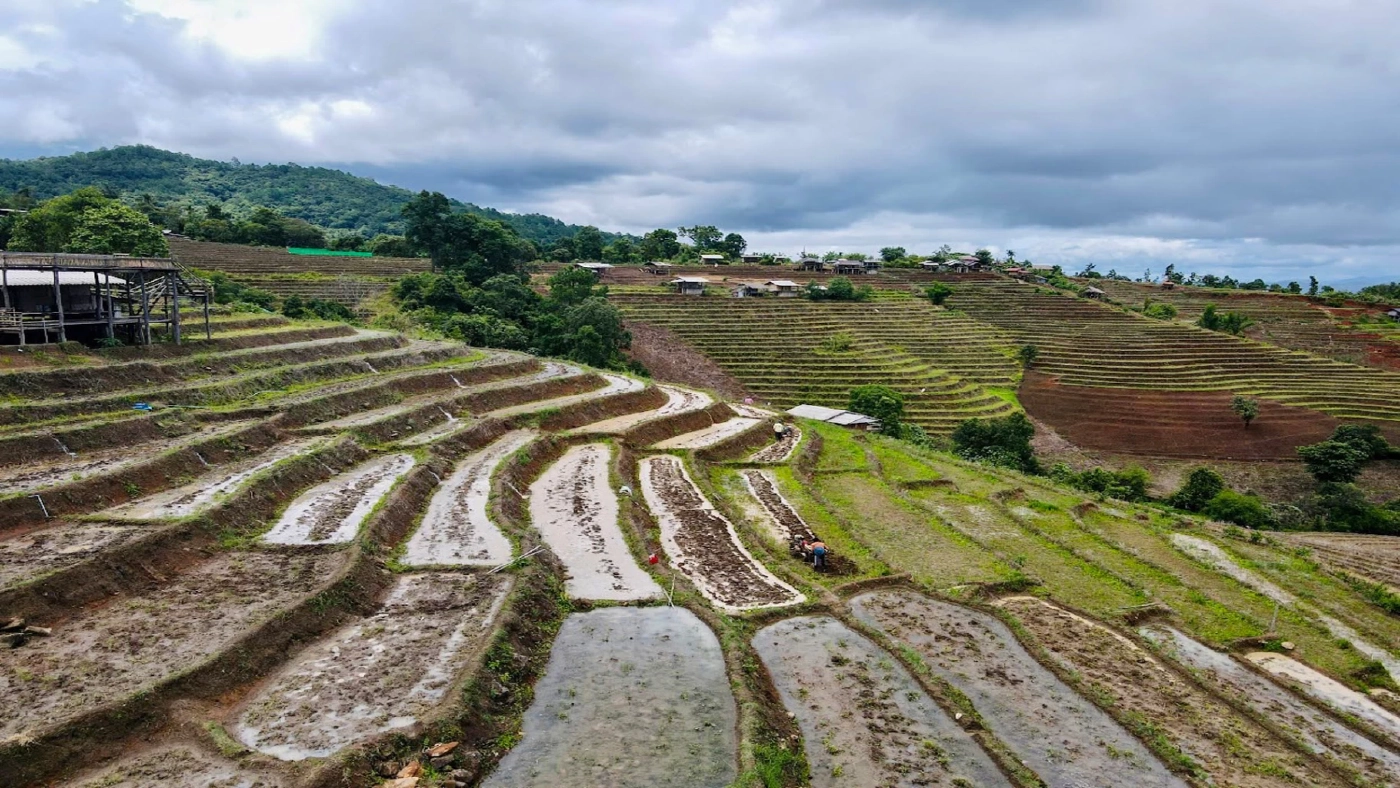 ชวนชมนาขั้นบันได360องศาสวยที่สุดในประเทศไทย