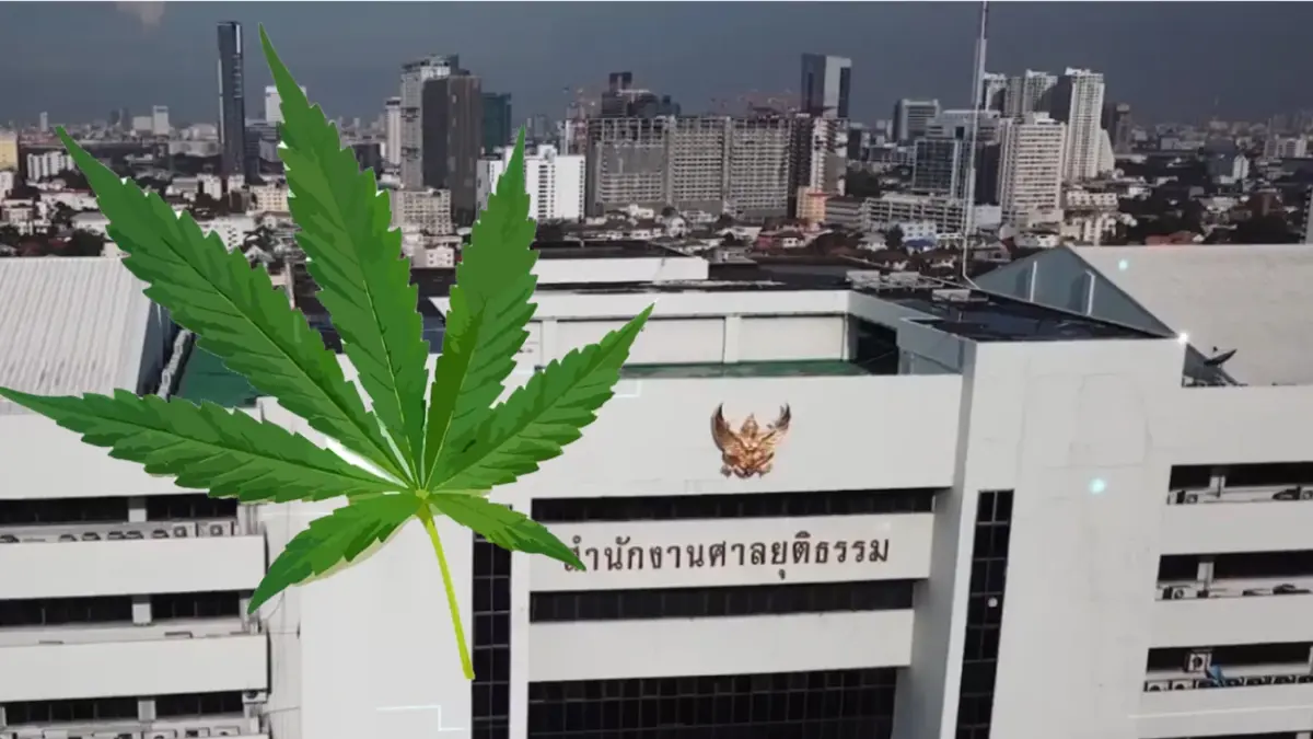 ศาลยุติธรรมประกาศห้ามเด็ดขาดใช้ 'กัญชา-กัญชง' ในพื้นที่ศาล ศาลยุติธรรมประกาศห้ามเด็ดขาดใช้ 'กัญชา-กัญชง' ในพื้นที่ศาล
