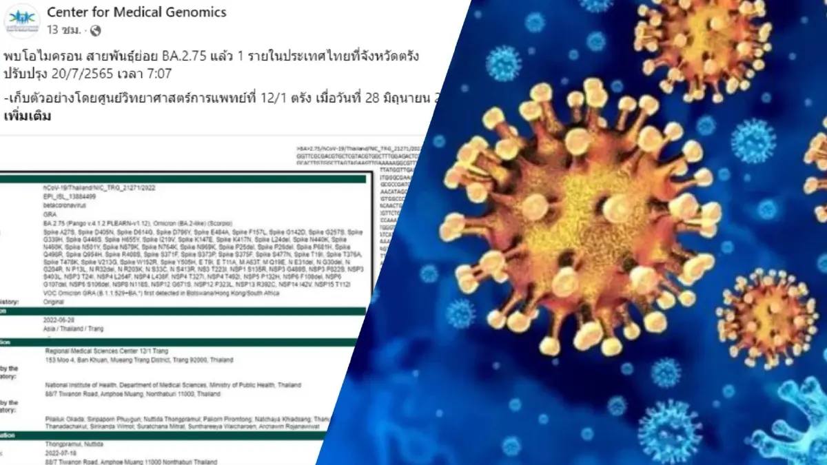 ด่วน!! ไทยพบโอมิครอนสายพันธุ์ย่อย BA.2.75 แล้ว 1 ราย ที่จังหวัดตรัง