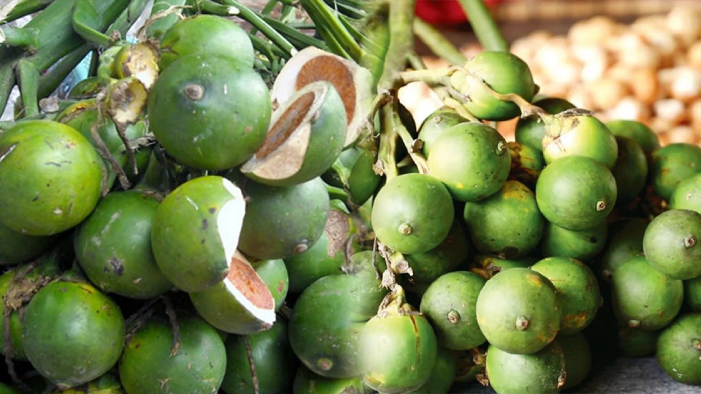 'หมาก' โกอินเตอร์ประเทศจีนแห่ออเดอร์เพียบ!