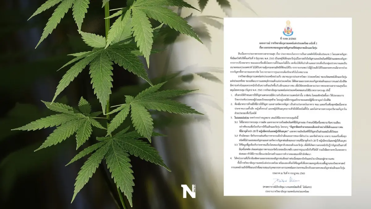 ราชวิทยาลัยกุมารแพทย์ เสนอ 4 มาตรการ ควบคุมผลกระทบกัญชาในเยาวชน