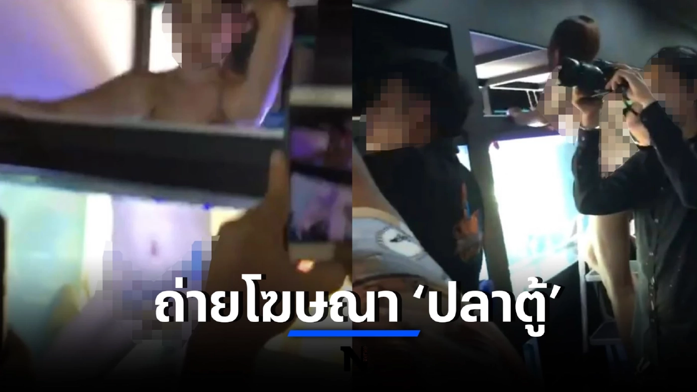 ร้านปลาสวยงามน้อมรับ ดราม่า "พริตตี้แหวกว่ายในตู้" ยันทำเพื่อโปรโมทร้าน