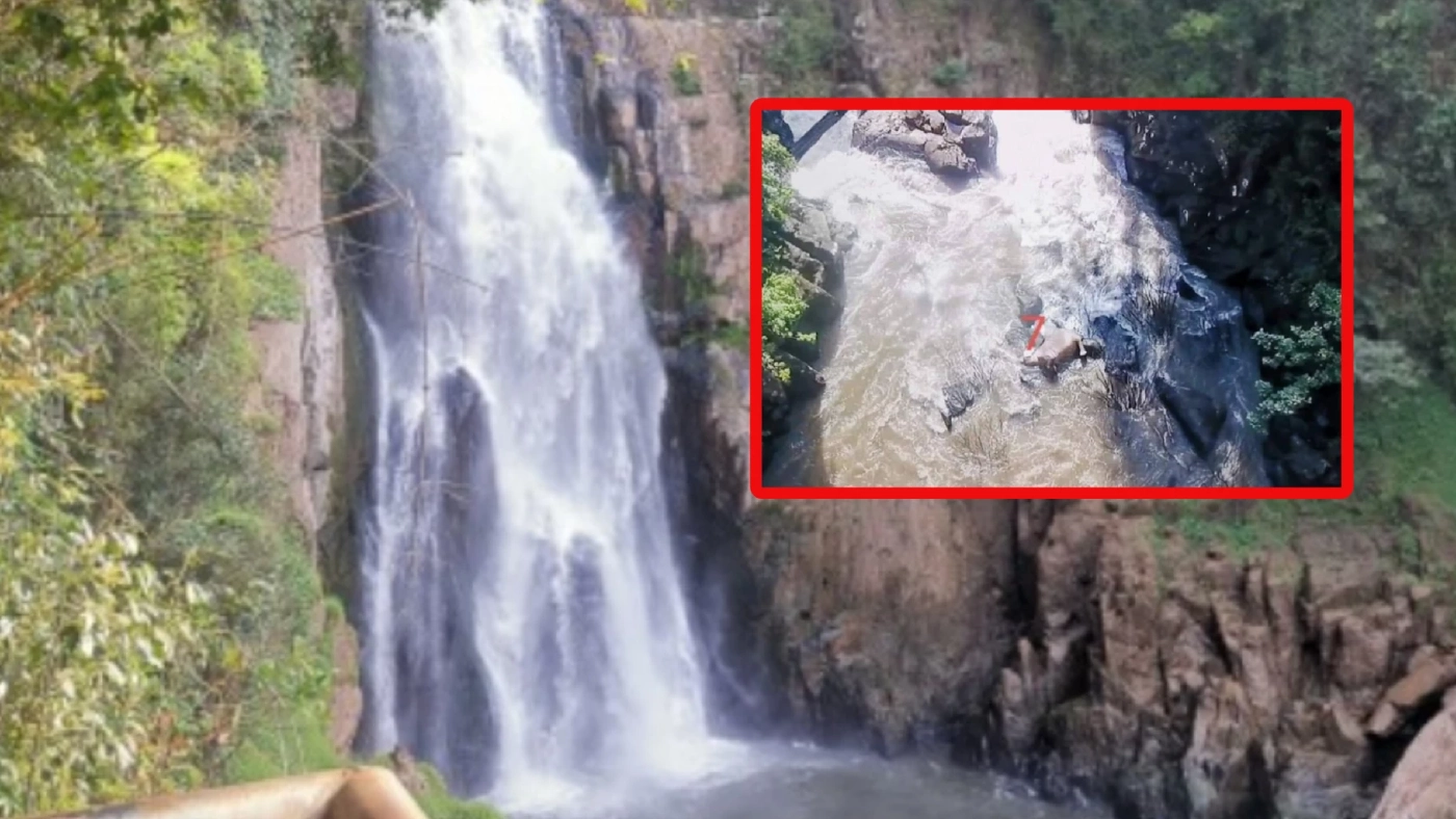 ย้อนโศกนาฏกรรม “ช้างป่าตกเหวนรก” เหตุสลดซ้ำรอยทำช้างตายกว่า 27 ตัว