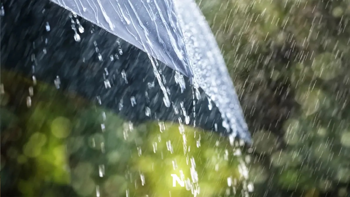 กรมอุตุฯ เตือน "เหนือ-อีสาน-กลาง-ตะวันออก" มีฝนตกหนักถึงหนักมาก กทม.ฝน 60%