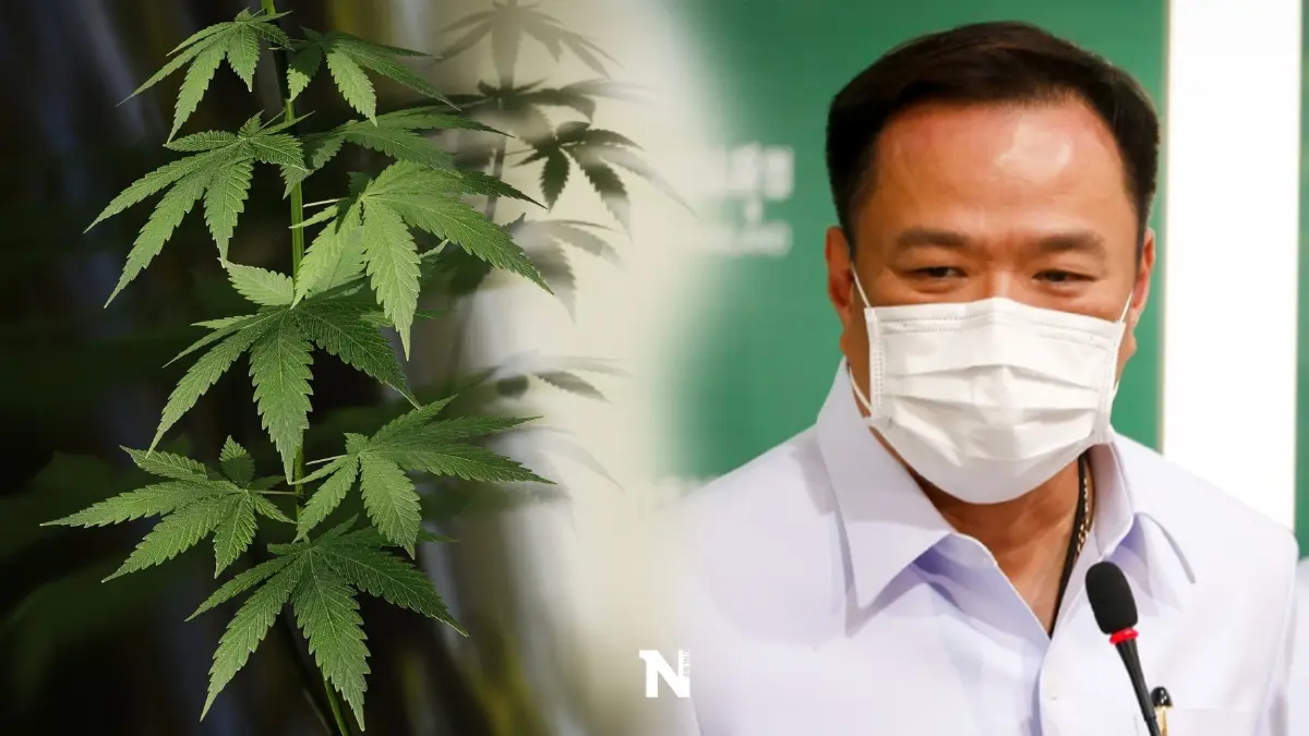 “อนุทิน” จี้ตร.-ฝ่ายปกครองใช้กฎหมายคุมเข้ม"กัญชา" ใครทำผิดดำเนินคดีทันที