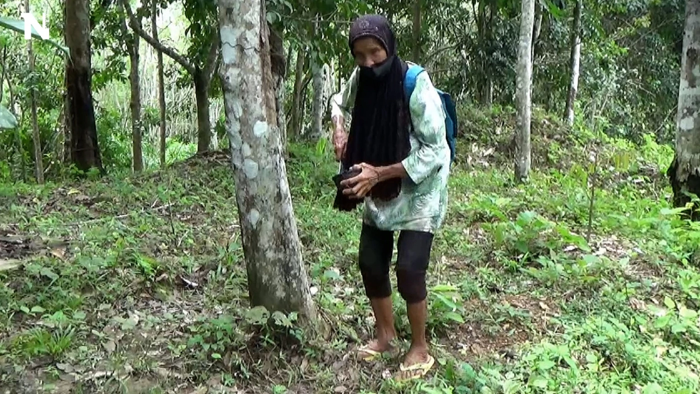 ไม่อยากเป็นภาระหลาน ยายวัย 96 ปี ขึ้นเขาเก็บขี้ยางขายยังชีพ