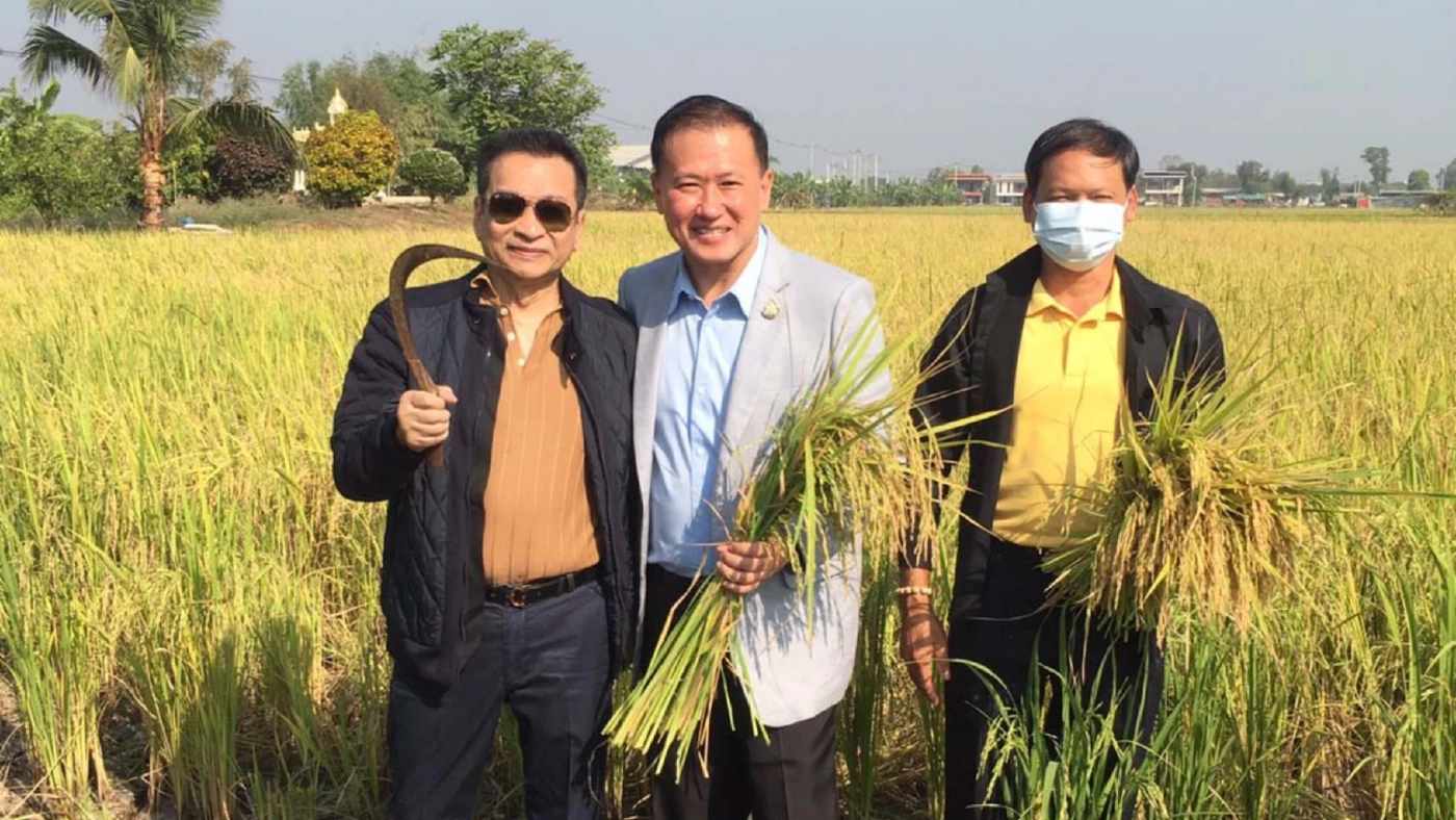 "ชัช เตาปูน” ลุยนาที่อยุธยา เกี่ยวข้าวที่ปลูกไว้แจกจ่ายช่วยเหลือคนยากจน "ชัช เตาปูน” ลุยนาที่อยุธยา เกี่ยวข้าวที่ปลูกไว้แจกจ่ายช่วยเหลือคนยากจน