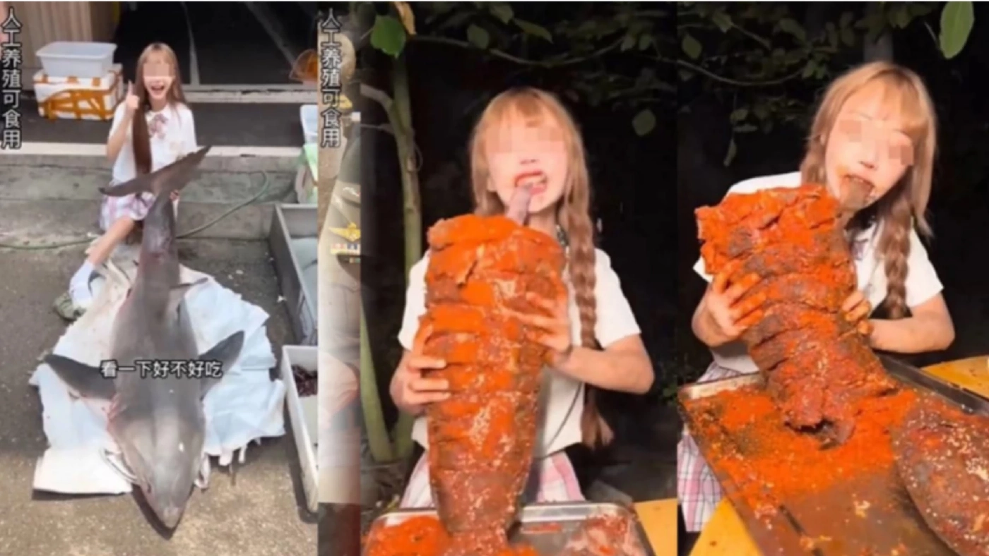 น้องอุ้มงานเข้า จ่อคุก 10 ปีปรับ 1 แสนหยวน คลิปกินซุปฉลามขาวหม่าล่า (มีคลิป)