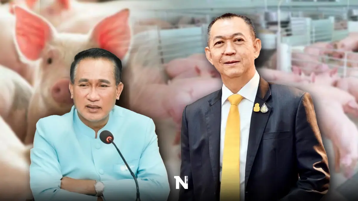 "หมูไทย"ปลอด ASF มากกว่า 50 วัน ลุยช่วยเกษตรกรรายย่อย ตั้ง Pig Sandbox สู้โรค