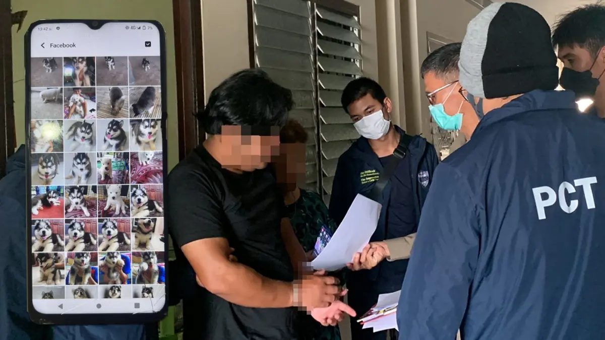 รวบตัวท็อป blacklist seller หลอกขายไซบีเรียนฮัสกี้ คดีเป็นหางว่าว