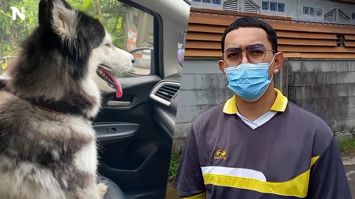 คุณเป็นใครครับเนี่ย ! เปิดใจหนุ่มลงไปทิ้งขยะกลับมาเจอเจ้าตูบนั่งในรถ คุณเป็นใครครับเนี่ย ! เปิดใจหนุ่มลงไปทิ้งขยะกลับมาเจอเจ้าตูบนั่งในรถ