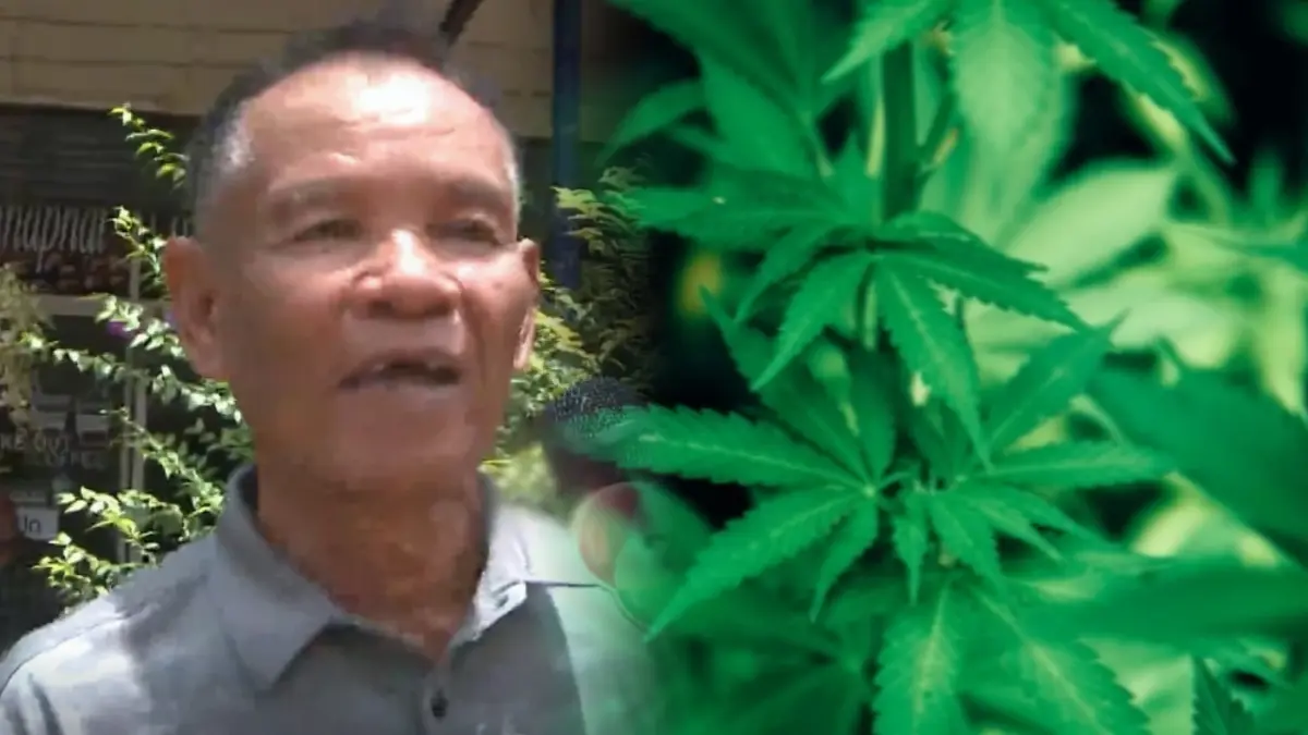 อดีตประธานสภาอบต.ร้อง “หนุ่มหลอนกัญชา” ฉุนถูกนินทาลับหลัง คว้าจอบทุบรถพัง อดีตประธานสภาอบต.ร้อง “หนุ่มหลอนกัญชา” ฉุนถูกนินทาลับหลัง คว้าจอบทุบรถพัง