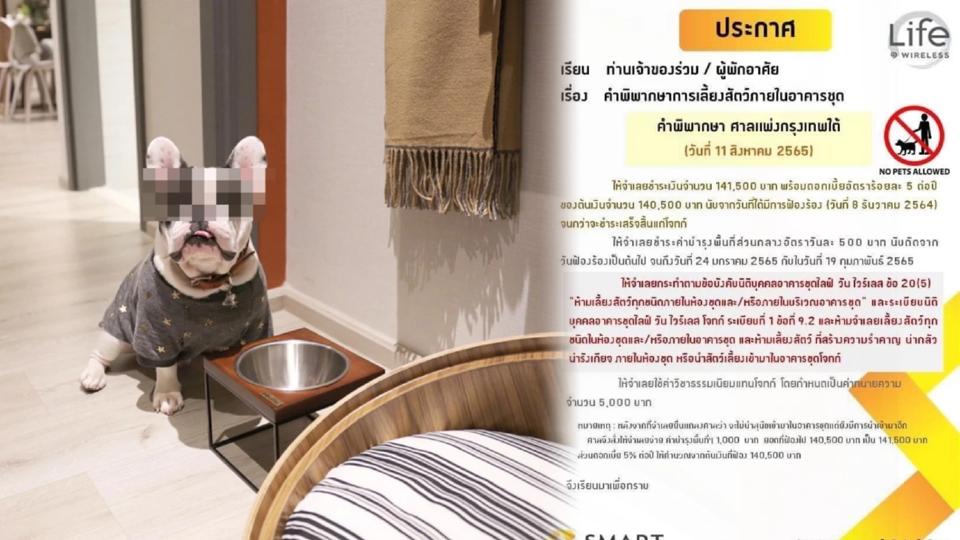 ใครทำอยู่ต้องดู ลูกบ้านคอนโดฝ่าฝืนเลี้ยงสัตว์ ถูกศาลสั่งปรับ 1.4 แสนบาท ใครทำอยู่ต้องดู ลูกบ้านคอนโดฝ่าฝืนเลี้ยงสัตว์ ถูกศาลสั่งปรับ 1.4 แสนบาท