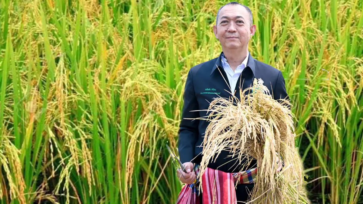"เฉลิมชัย" ปลื้มชาวนา ส่งออกทะลุเป้า ลุ้นสิ้นปี ขึ้นแท่นอันดับ 2 ของโลก