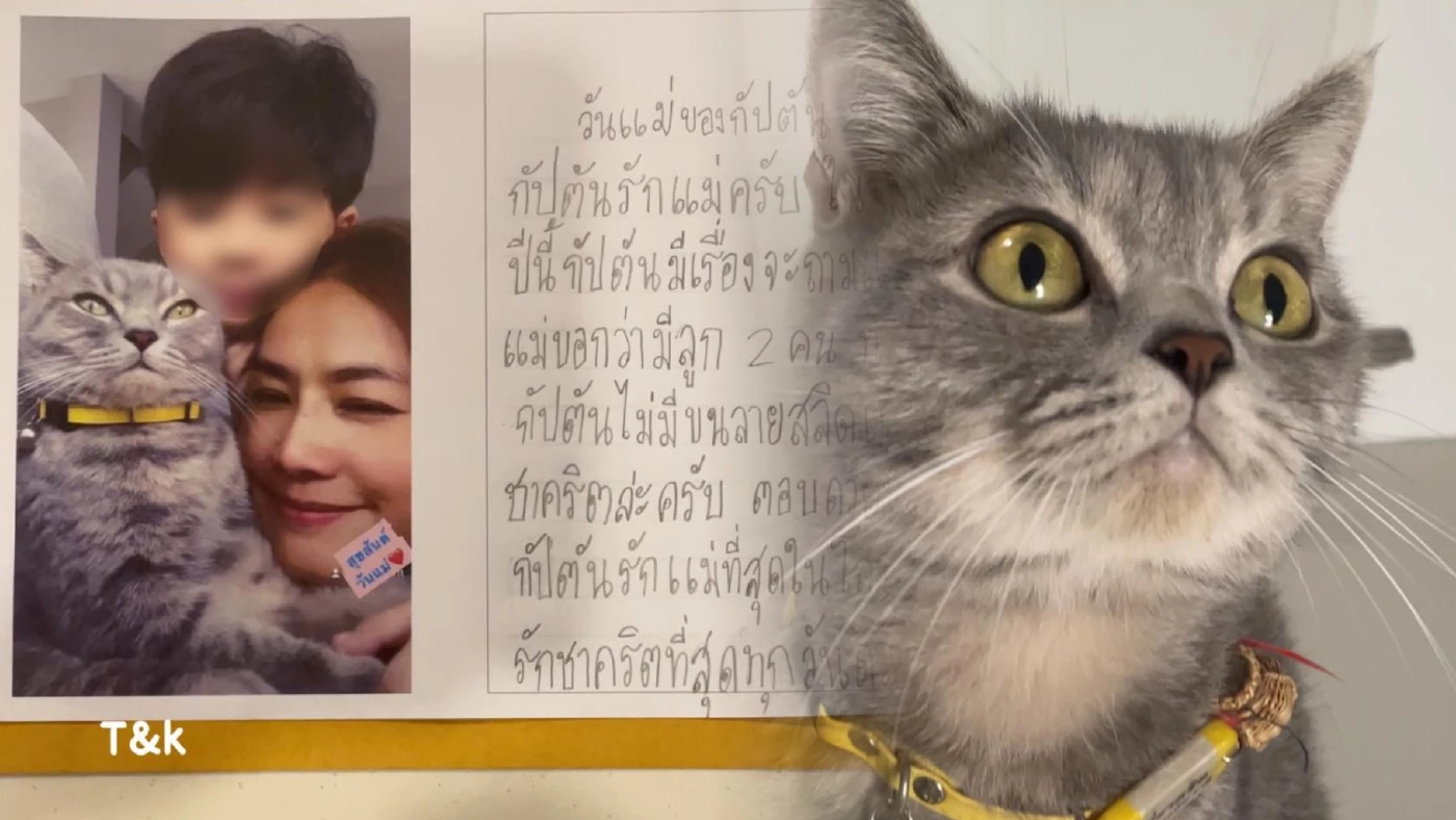 ตอบยังไงดี ? เด็ก ป.2 เขียนเรียงความถามแม่ ทำไมหนูไม่มีขนลายสลิดแบบพี่ ตอบยังไงดี ? เด็ก ป.2 เขียนเรียงความถามแม่ ทำไมหนูไม่มีขนลายสลิดแบบพี่