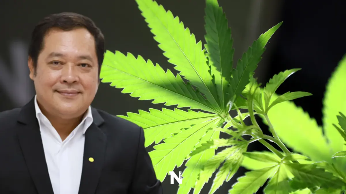 "ทวี สอดส่อง"ย้ำรัฐอย่าหากินกับกัญชาโดยไร้กฎหมายควบคุม "ทวี สอดส่อง"ย้ำรัฐอย่าหากินกับกัญชาโดยไร้กฎหมายควบคุม