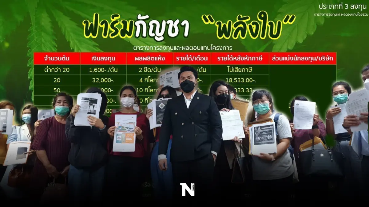 ผู้เสียหาย 60 รายถูกหลอกลงทุน "ฟาร์มเห็ด" เสียหายกว่า 200 ล้าน
