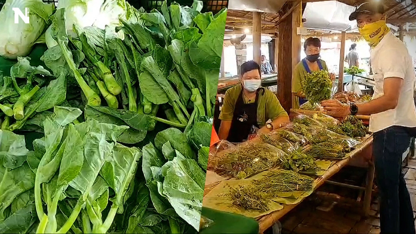 ฝนมาผักราคาดี  ชาวบ้านเก็บขายรายได้เสริม