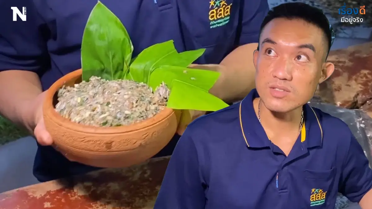 แหนมเขียดสมุนไพร พัฒนาจากภูมิปัญญาท้องถิ่น แหนมเขียดสมุนไพร พัฒนาจากภูมิปัญญาท้องถิ่น