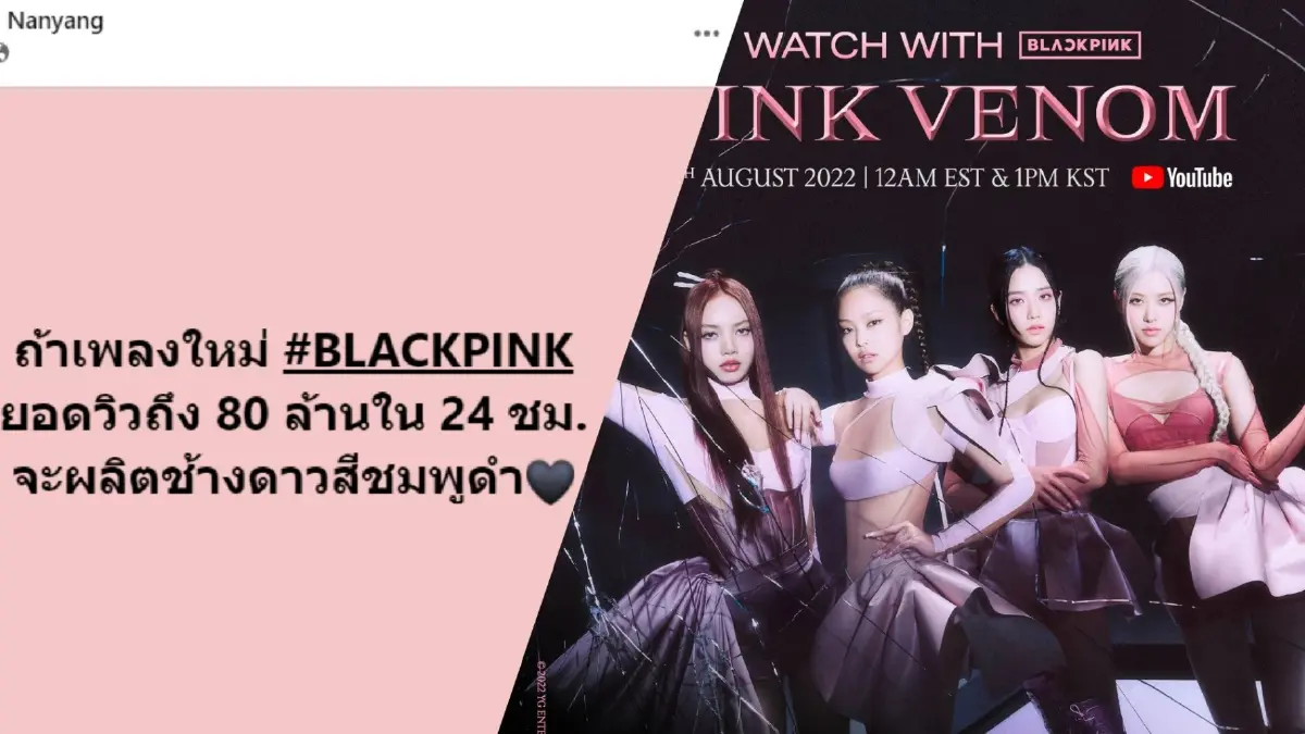 “นันยาง” เกาะกระแส “BLACKPINK” หากยอดวิว 80 ล้าน เตรียมผลิตช้างดาวสีชมพูดำ