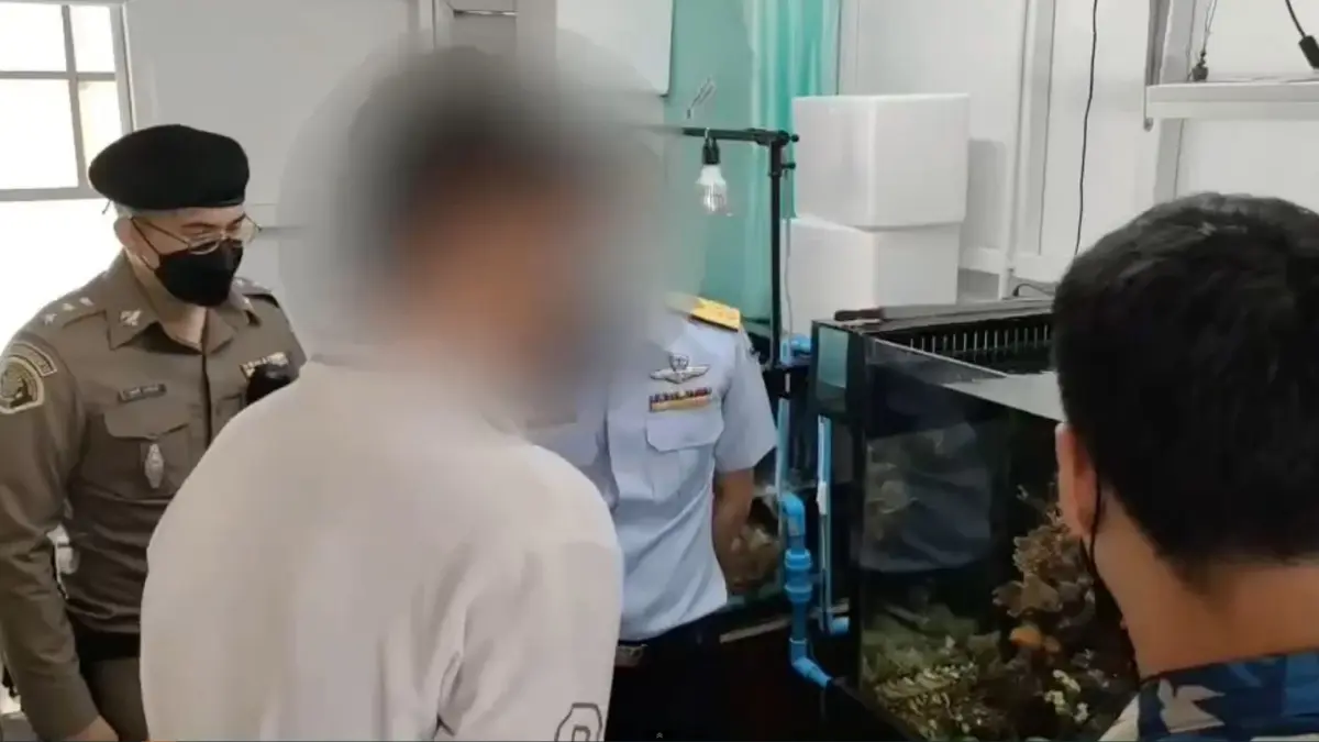 บุกจับหนุ่มค้าปะการัง-ดอกไม้ทะเลออนไลน์ ของกลางกว่า 300 ชิ้น