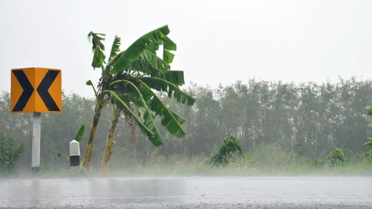 พยากรณ์สภาพอากาศวันนี้ ยังคงมีฝนหนักบางแห่งทั่วทุกภาค คลื่นลมมีกำลังแรง พยากรณ์สภาพอากาศวันนี้ ยังคงมีฝนหนักบางแห่งทั่วทุกภาค คลื่นลมมีกำลังแรง