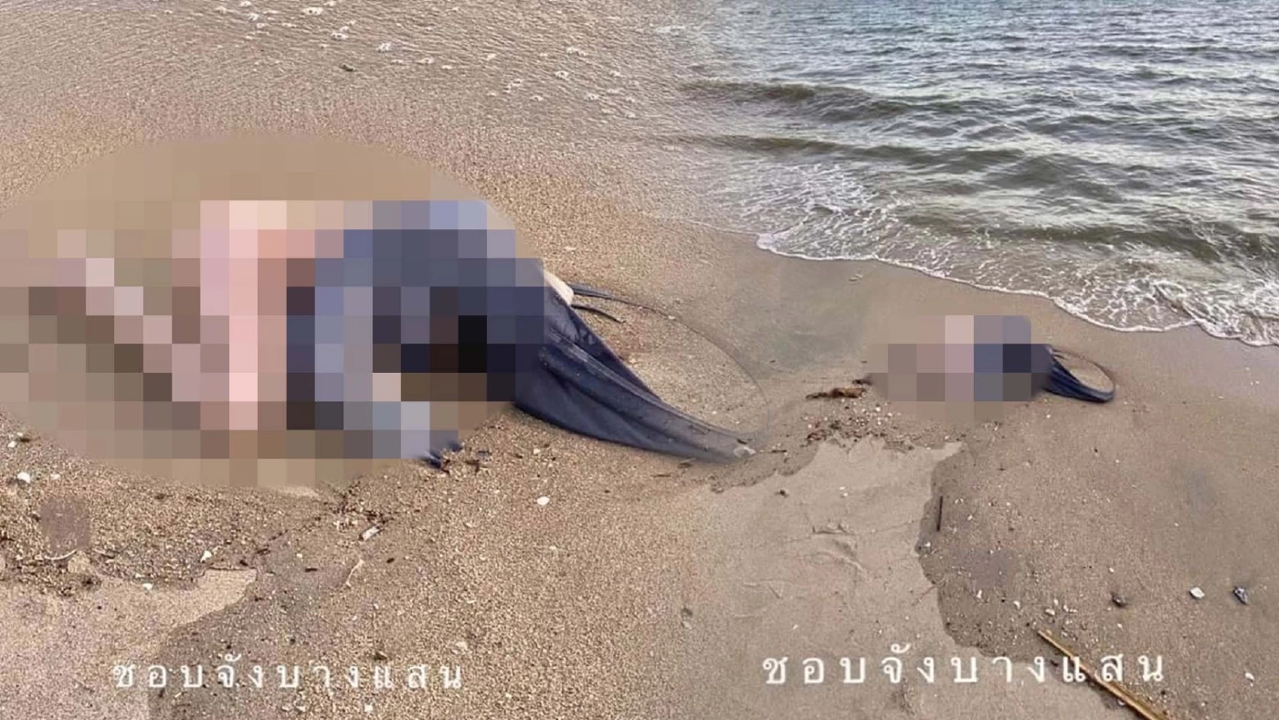 นักท่องเที่ยวร้องกรี๊ด ขยะลอยเกยหาดบางแสน ดูเหมือนศพคนนอนตาย ที่แท้คือ..? นักท่องเที่ยวร้องกรี๊ด ขยะลอยเกยหาดบางแสน ดูเหมือนศพคนนอนตาย ที่แท้คือ..?