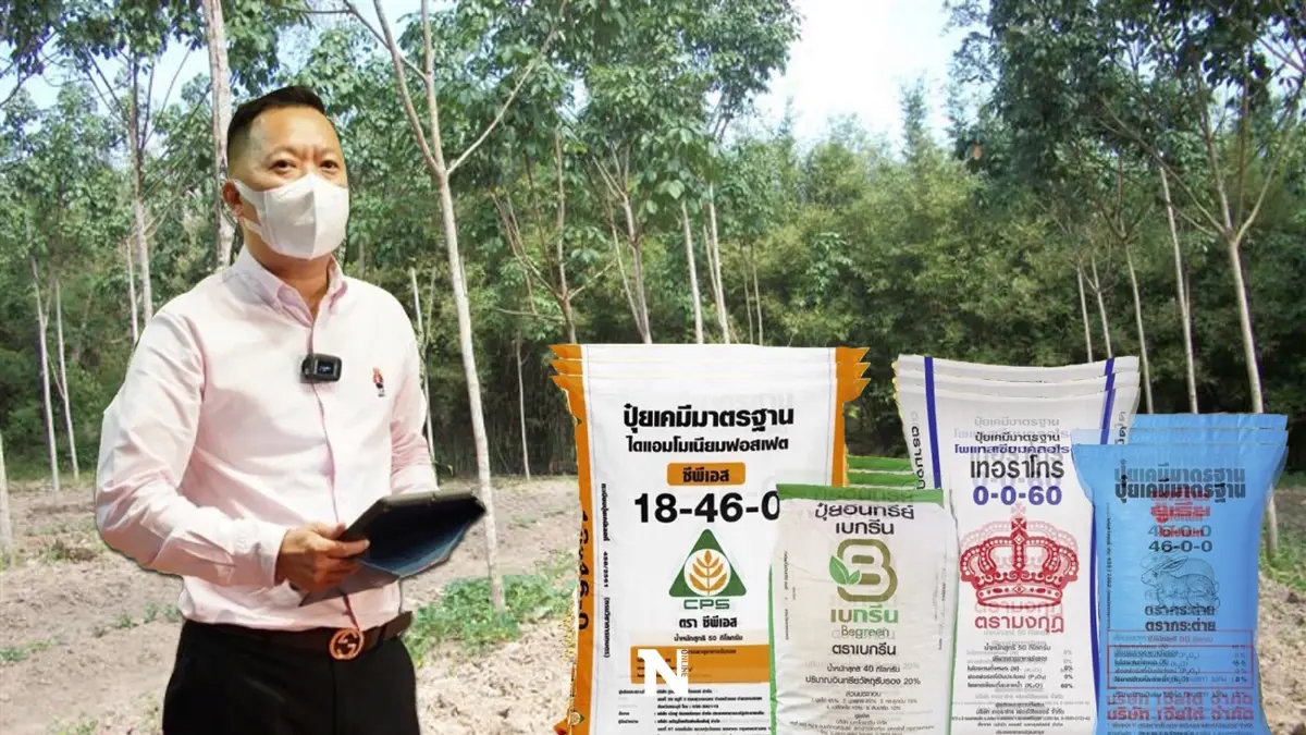 บอร์ด กยท.ไฟเขียวปรับแผน "โอนเข้าบัญชีต้นฝน จัดปุ๋ยคุณภาพปลายฤดู"
