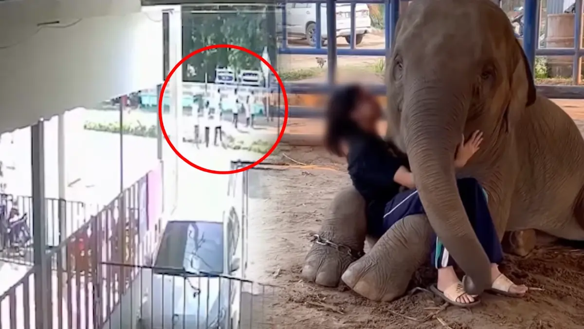 เปิดคลิปสุดท้าย “น้องฟิล์ม” ร้านค้ารร. ก่อนวิ่งหนีครู กระทั่งพบเสียชีวิต
