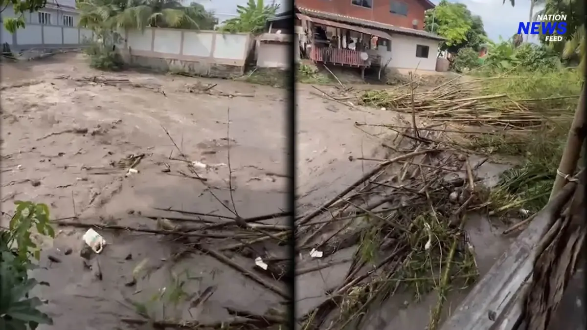 ทำอะไรไม่ได้แล้ว? ชาวบ้านโอด พายุฝนถล่มหนักน้ำซัดต้นไม้ชนบ้าน ทำอะไรไม่ได้แล้ว? ชาวบ้านโอด พายุฝนถล่มหนักน้ำซัดต้นไม้ชนบ้าน