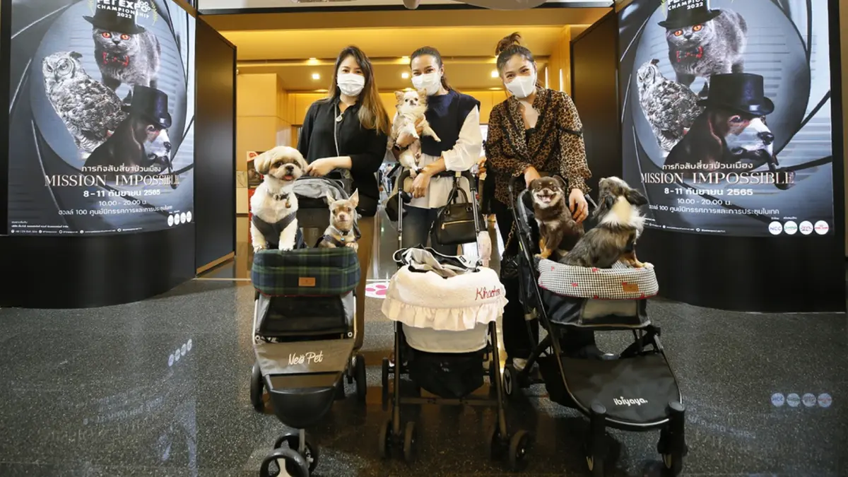 เริ่มแล้ว!  "PET EXPO 2022" งานคนรักสัตว์