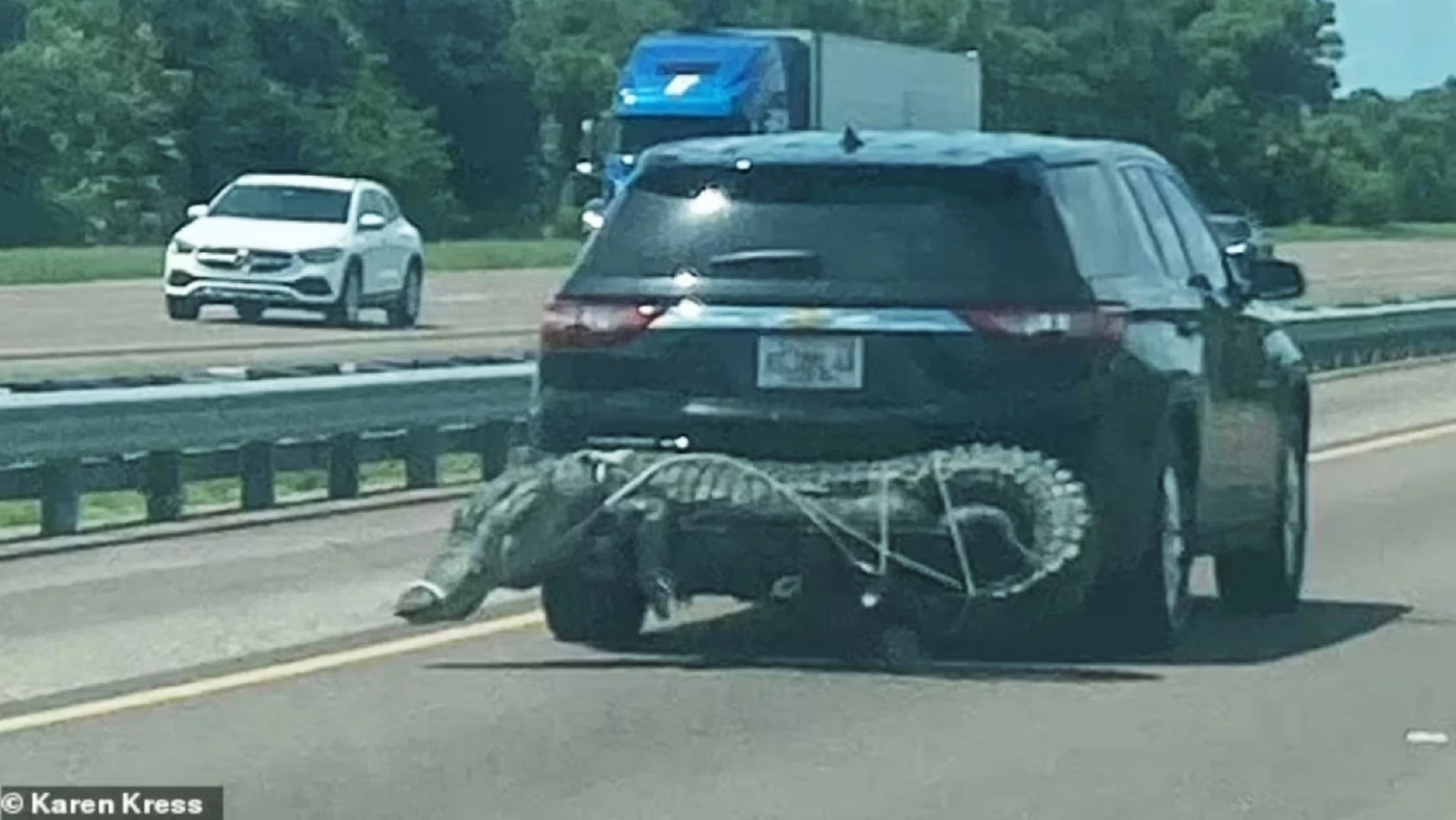 ทำกับพี่เขาเกินไปมุ้ย นึกว่าตุ๊กตาห้อยท้ายรถ