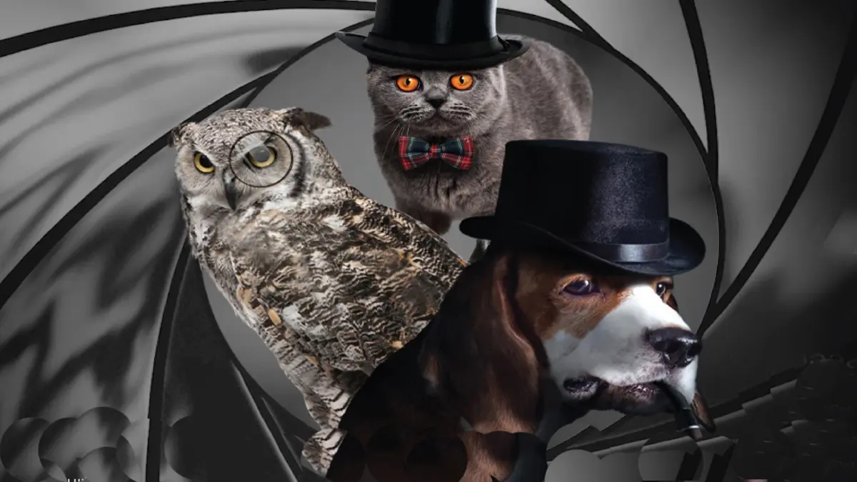 นับถอยหลัง เตรียมพบกับ "PET EXPO CHAMPIONSHIP 2022"