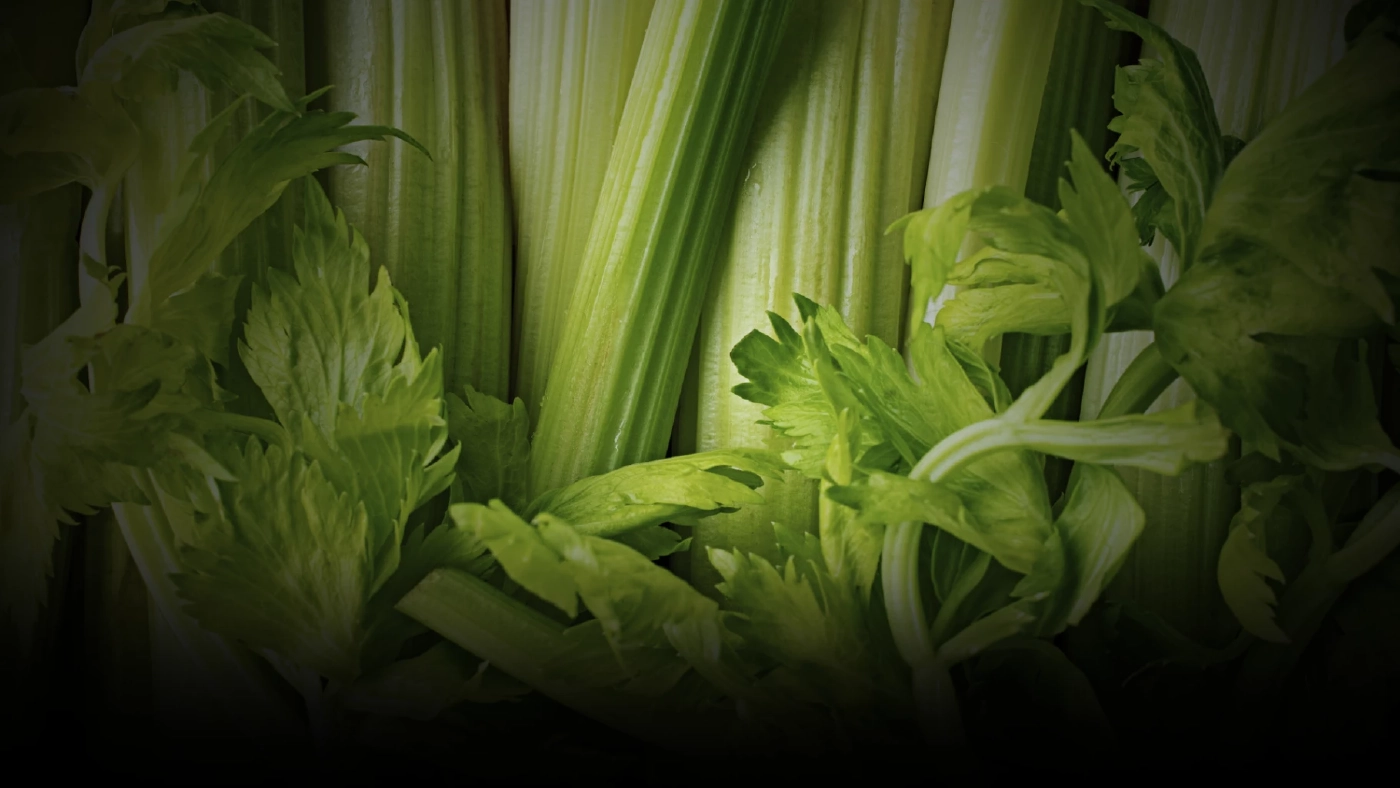 "ขึ้นฉ่าย" ผักใบเขียว ลดความดันโลหิต-ลดน้ำตาล วิตามินอีกมากมาย