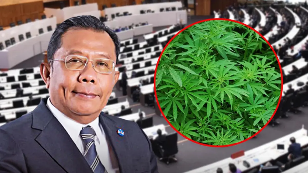 “ศุภชัย”ย้ำ ปลดล็อกกัญชา แล้วไม่มีกม.รองรับ สิ่งที่ห่วงใยจะเกิดเร็วขึ้น