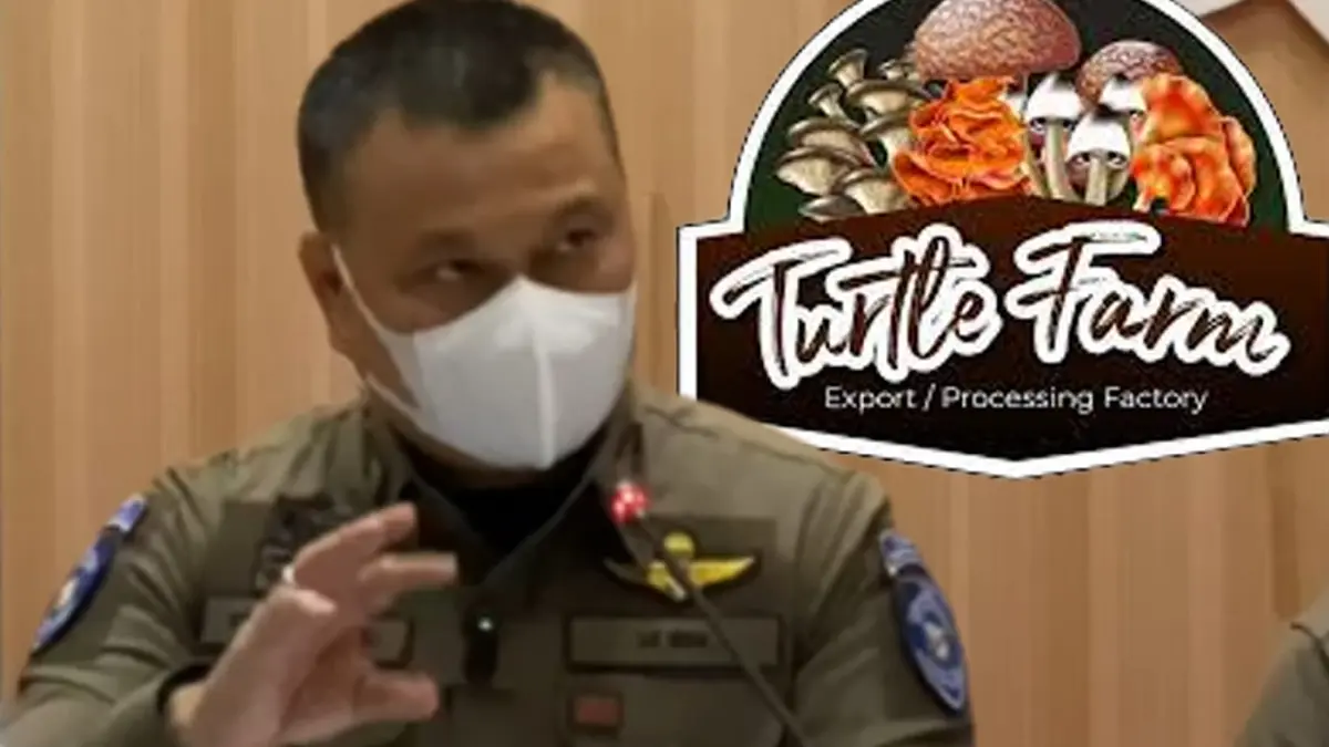 ขยายผลคดี Turtle Farm จับเพิ่ม 2 รายยึดอีก 100 ล้าน