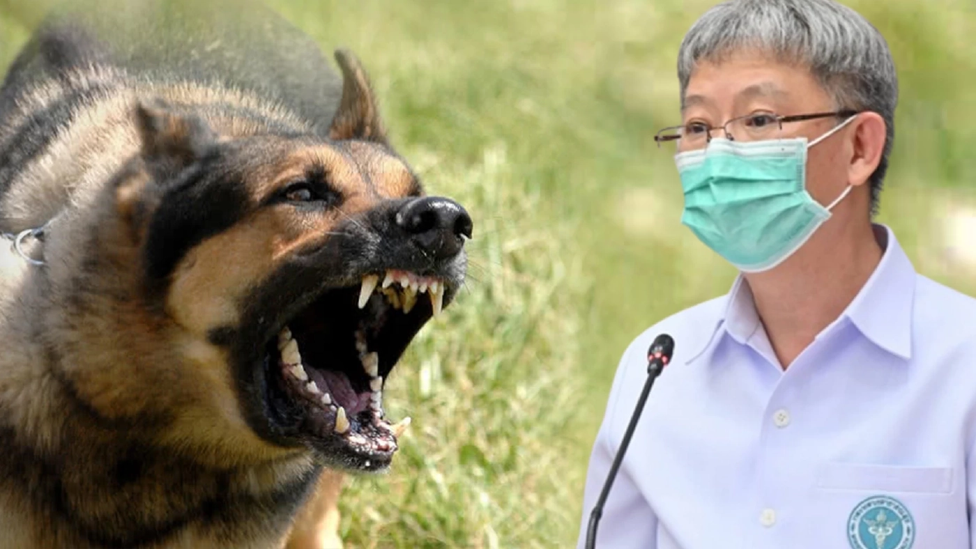 “สุนัขกัด” กรมควบคุมโรค แนะต้องเร่งฉีดวัคซีน