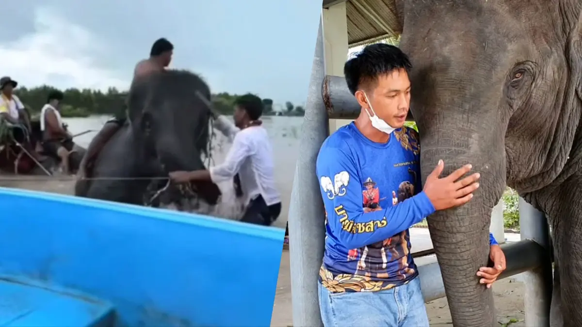 เปิดคลิปนาทีชีวิต พังชื่นใจ ถูกน้ำซัดจมมิด เปิดคลิปนาทีชีวิต พังชื่นใจ ถูกน้ำซัดจมมิด