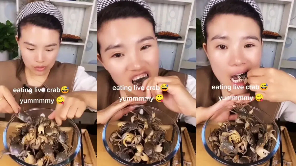 โซเชียลเสียงแตก คลิปสาวกินปูดิบโหดไปไหม