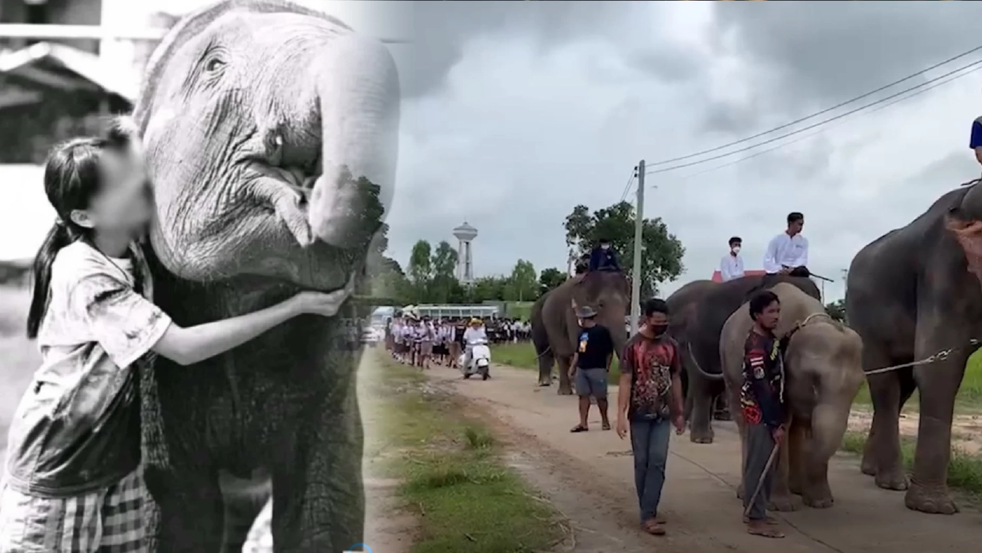 เผาแล้วร่างน้องฟิล์ม พ่อแม่ยันทำยูทูบต่อ เชื่อสุพรรษารับรู้ทุกอย่าง