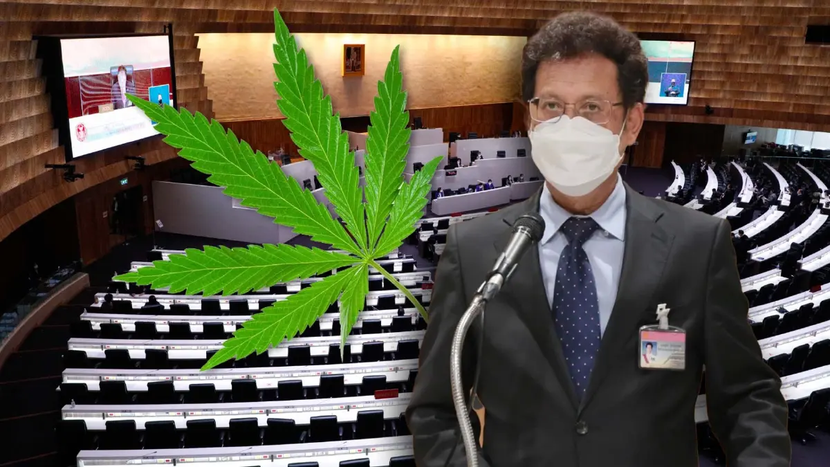 ปัด"ชวน" ไม่ได้อยู่เบื้องหลังคว่ำร่างกม.กัญชาฯ  มีแต่จะเร่งวาระโดยเร็ว