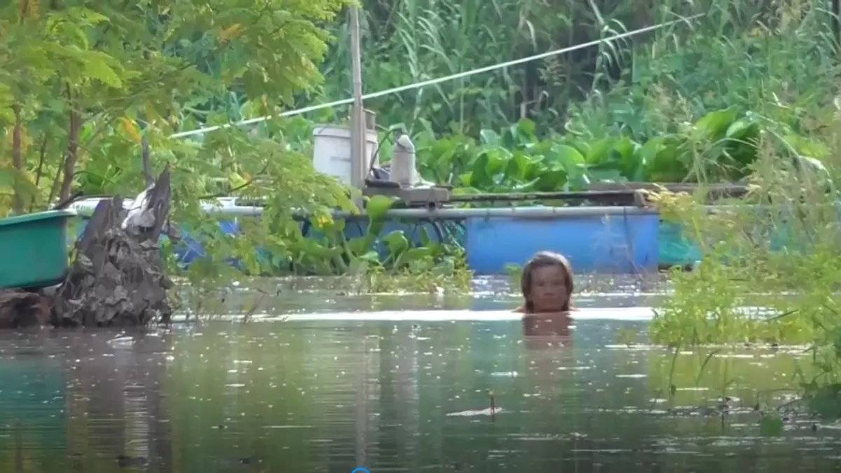 อ่างทองยังอ่วม น้ำคลองโผงเผงขยายวงกว้าง ท่วมบ้านเรือน ปชช. เกือบ 400 หลัง อ่างทองยังอ่วม น้ำคลองโผงเผงขยายวงกว้าง ท่วมบ้านเรือน ปชช. เกือบ 400 หลัง